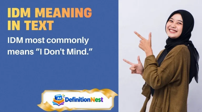 IDM Meaning in Text