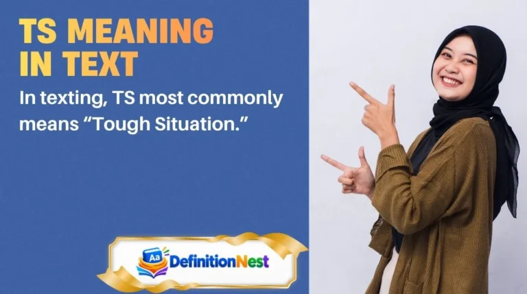 TS Meaning in Text